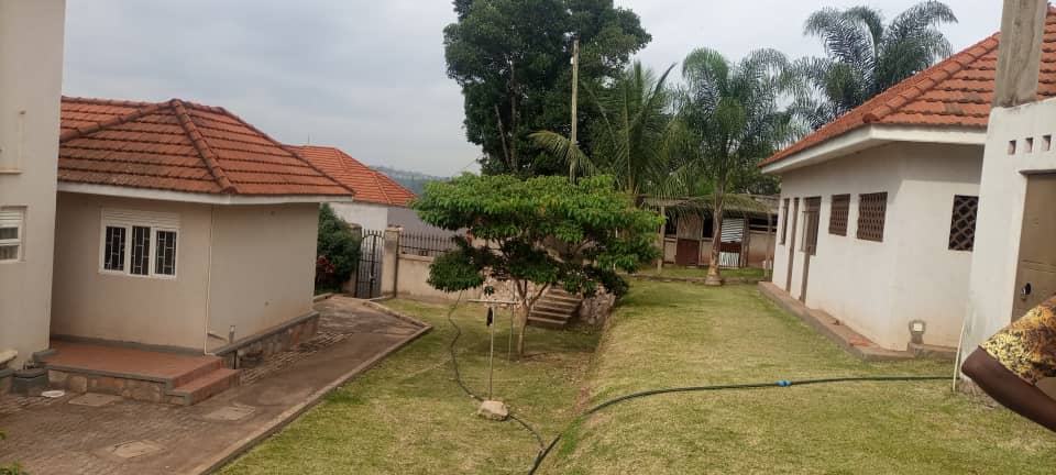 WhatsApp Image 2021-08-15 at 5.30.31 PM.jpeg